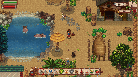 Super Zoo Story Screenshot