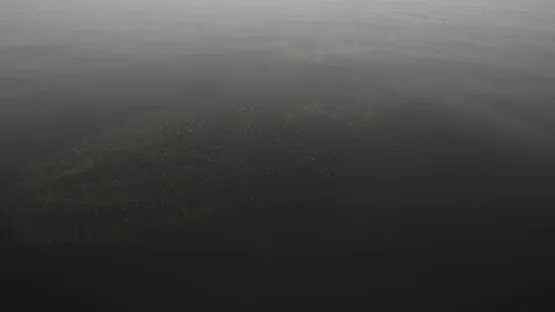 Flesh Fossil screenshot 5