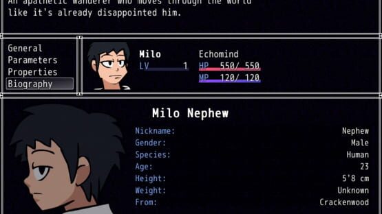 Falsehood gameplay screenshot