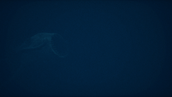 SCP: Darkwater Screenshot