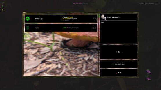 Shroomocracy! And The Wand Of Ages screenshot 8