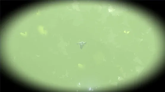 Look to the Birds screenshot 5