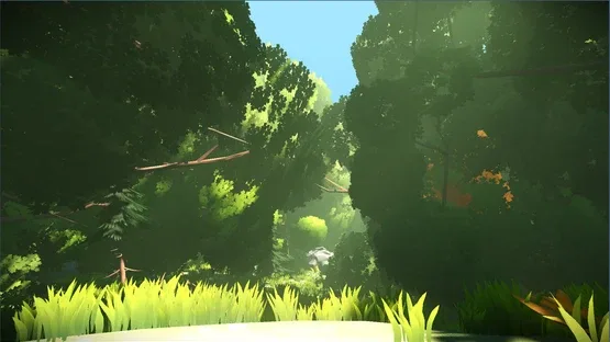 Look to the Birds screenshot 2