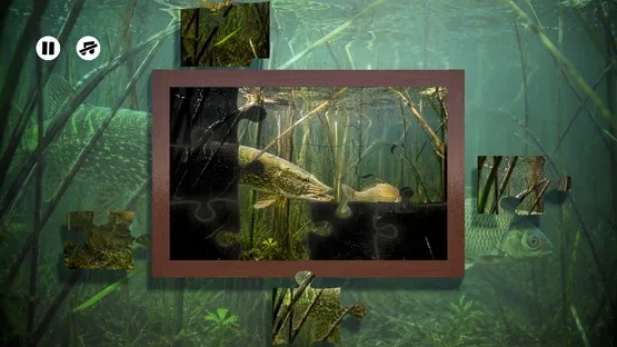 Puzzles: Fish screenshot 4