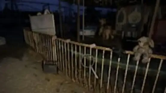 Cursed Objects: Find and Seal screenshot 3