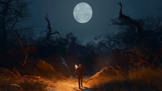 The Witcher 3: Wild Hunt - Songs of the Past Screenshot