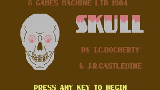 Skull screenshot 1