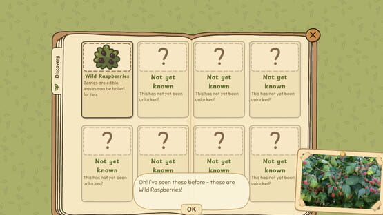 Grandma's Guide to the Grand Outside screenshot 5