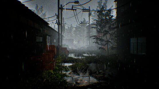 Taro Is Back screenshot 1