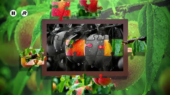Puzzles Fruit screenshot 4