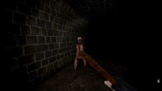 Proyecto Huemul screenshot 6