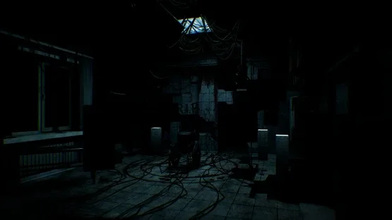 Corid screenshot 5