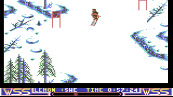 Winter Supersports 92 Screenshot