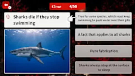How True Is This Rumor? Urban Legend Mystery screenshot 3