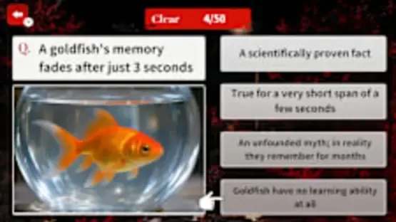 How True Is This Rumor? Urban Legend Mystery screenshot 4