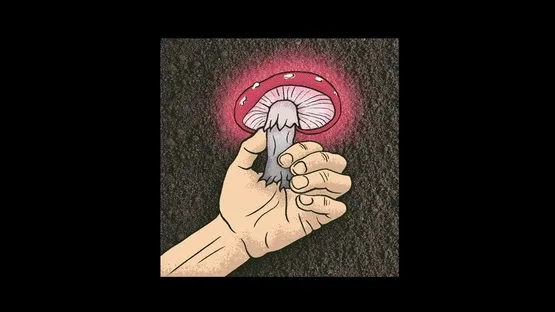 Avoid Mushrooms screenshot 5