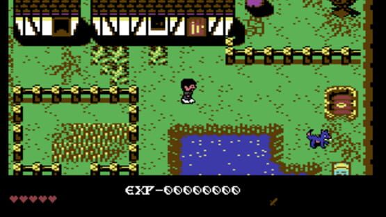 Screenshot of The Isle of the Cursed Prophet
