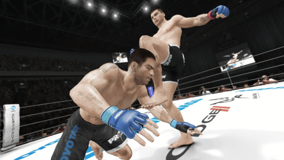 UFC Undisputed 3 Screenshot
