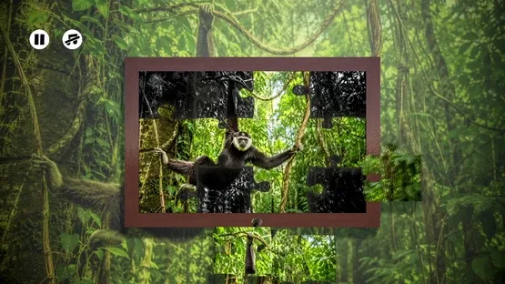 Puzzles: Monkey screenshot 1