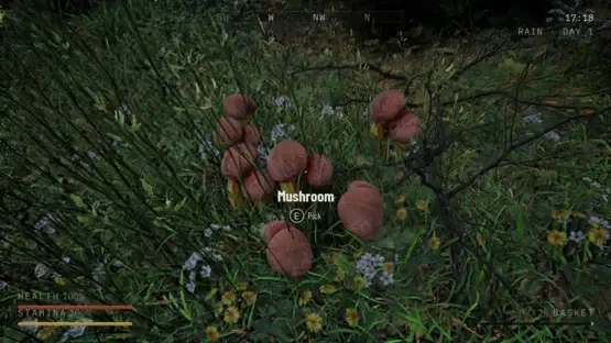 Holy Shroom! screenshot 2