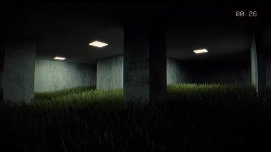 Backrooms Insane screenshot 4