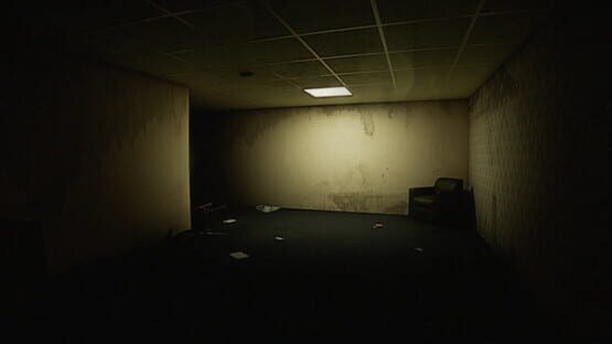 The Edge of the Backrooms kuvakaappaus 1