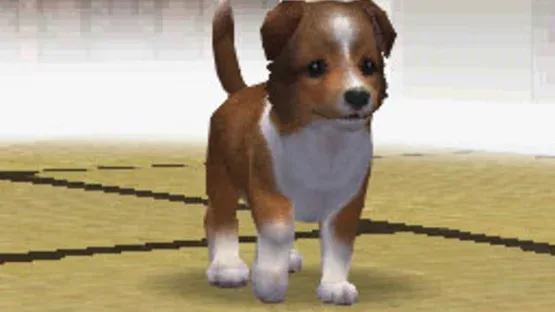Nintendogs: Shiba & Friends screenshot 3