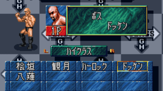 Super Fire Pro Wrestling X Premium Screenshot