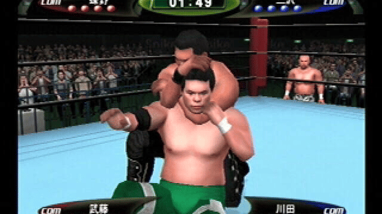 King of Colosseum II Screenshot