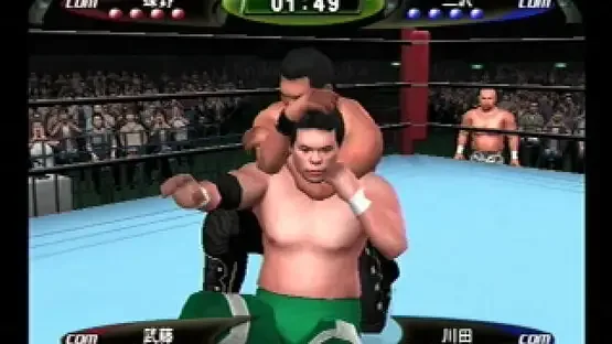 King of Colosseum II screenshot 3