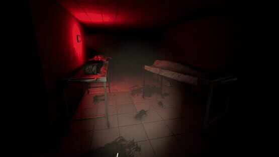 The Lifeline gameplay screenshot