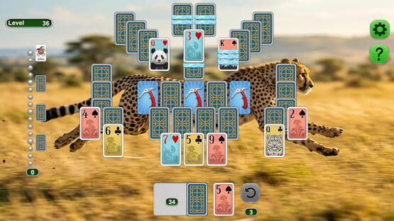 Weekend Solitaire: Grace in Motion gameplay screenshot