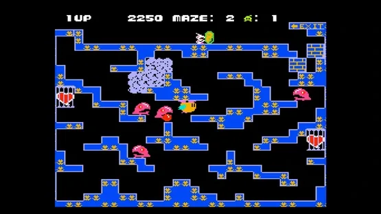 Console Archives: Chack’n Pop screenshot 7