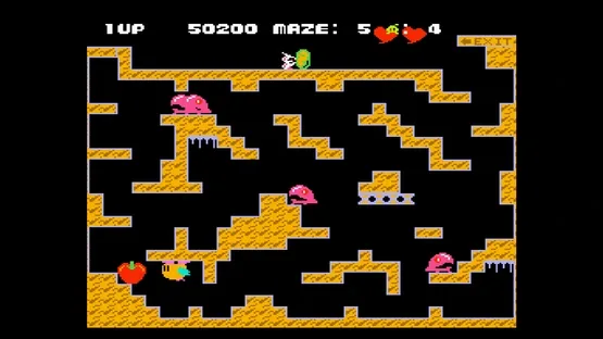 Console Archives: Chack’n Pop screenshot 8