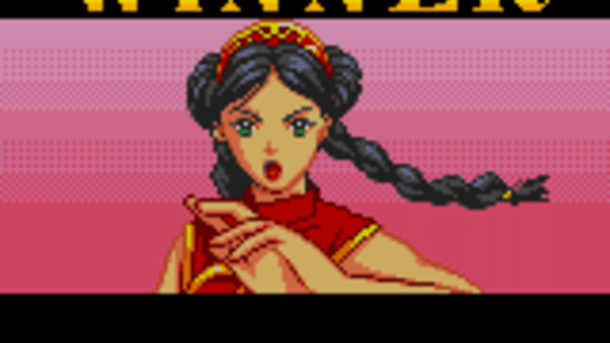 Virtua Fighter Animation Screenshot
