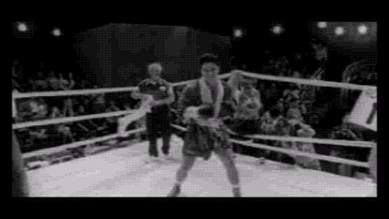 Prize Fighter screenshot 3