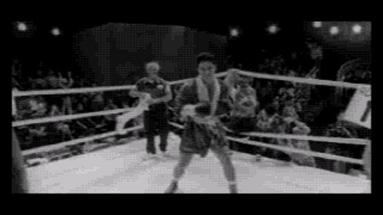 Prize Fighter Screenshot