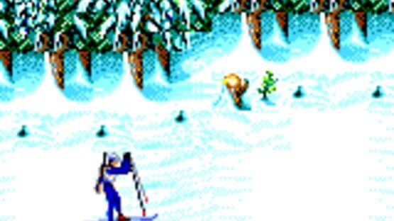 Winter Olympic Games screenshot 1