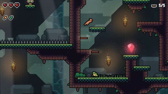 Pogona screenshot