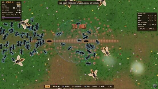 Dirtborn: Colony Rising kuvakaappaus 7