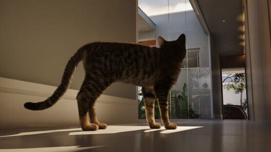 Whiskers of Yesterday gameplay screenshot