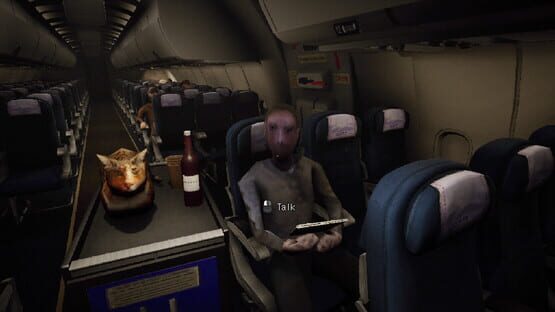 Night Plane