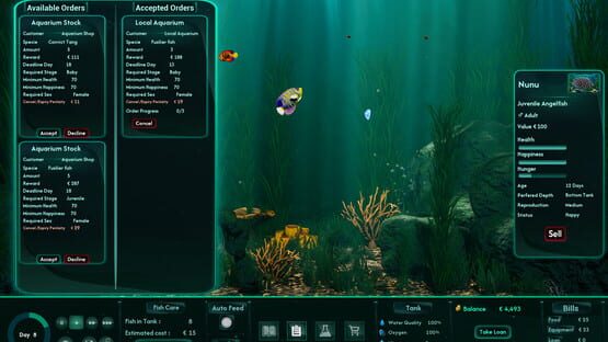 Finistry gameplay screenshot