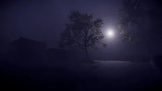 Stare screenshot 6