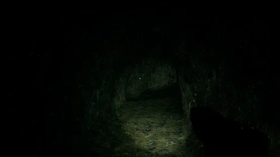 The Circus That Never Left screenshot 4