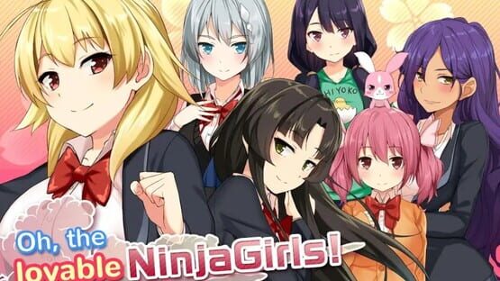 Moe! Ninja Girls cover