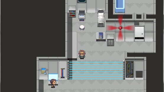 The Perfectionist cover