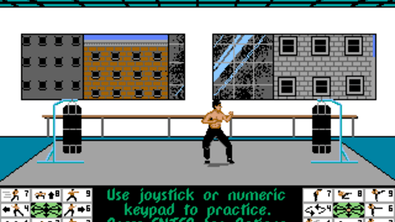 Bruce Lee Lives: The Fall of Hong Kong Palace Screenshot