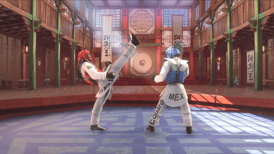 Taekwondo Grand Prix Screenshot