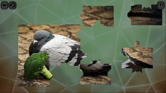 Puzzles for Smart: Birds cover